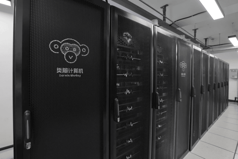 DarwinMonkey实物照片